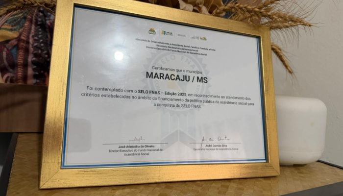 Premiação nacional reconhece o esforço e a transparência da equipe técnica no desenvolvimento de programas assistenciais na cidade. Foto: Divulgação