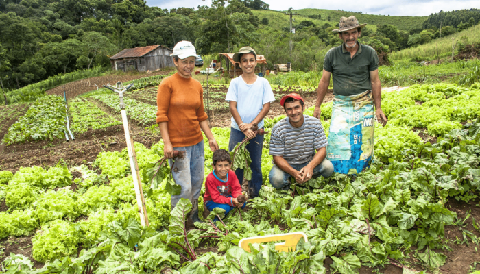 Familiares no cultivo da agricultura familiar. Foto: Reprodução