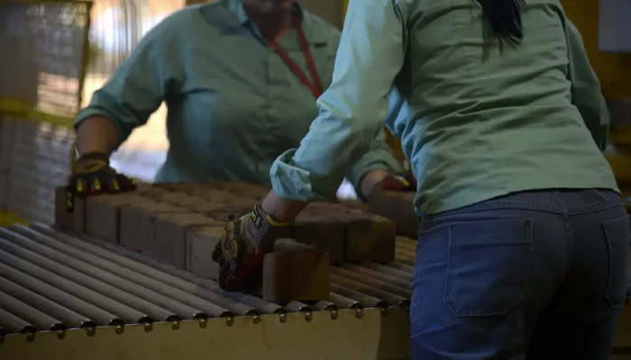 O período de apuração para verificar a elegibilidade das empresas será entre julho de 2024 e junho de 2025./© Tomaz Silva/Agência Brasil