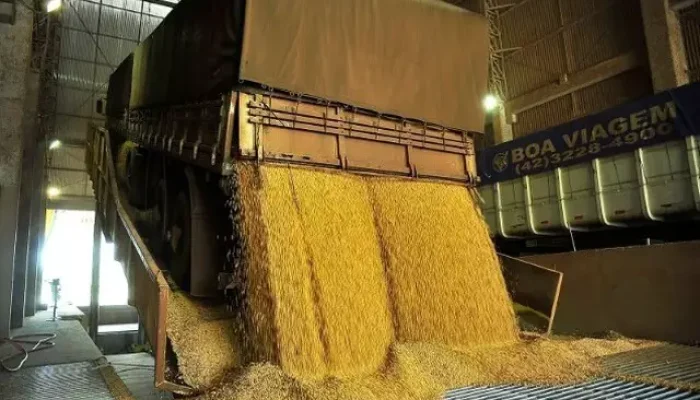 Caminhão descarrega soja em Paranaguá (Foto: Administração dos portos de Paranaguá e Antonia/Divulgação)