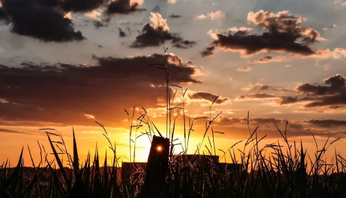 Onda de calor deve ocorrer até domingo em MS (Henrique Arakaki, Jornal Midiamax)